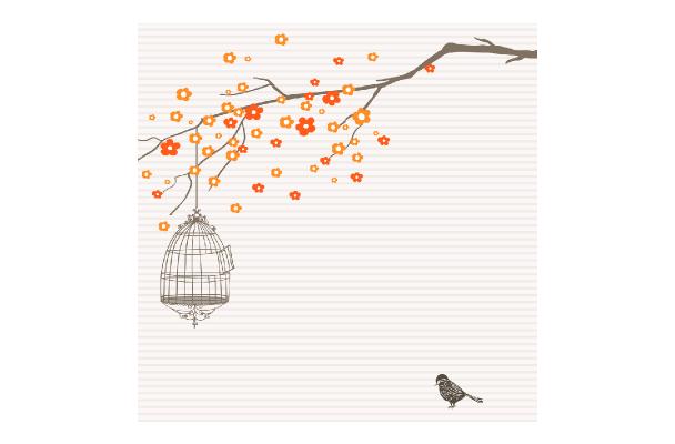 Stiletto Wheels Bird