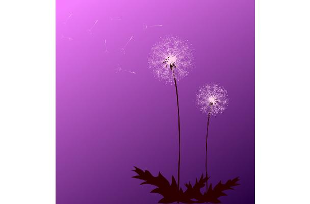 Stiletto Wheels Purple Flowers