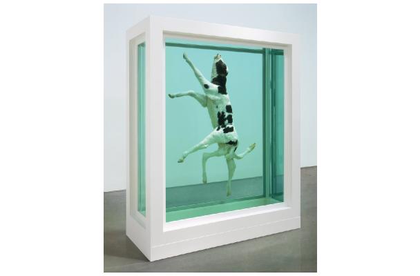 Hirst Infinite Wisdom
