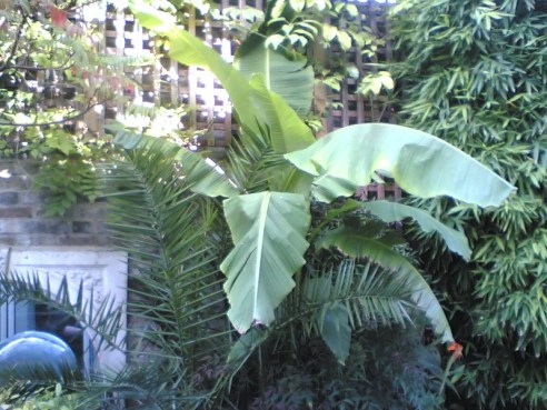 Access My Home: Garden Plans